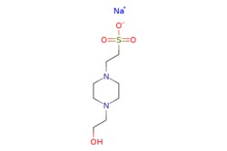eMolecules​&nbsp;Ambeed / Sodium 2-(4-(2-hydroxyethyl)piperazin-1-yl)ethanesulfonate / 25g / 490545566 / A260290 /  / 75277-39-3 / MFCD00036463 / 260.280 / C8H17N2NaO4S