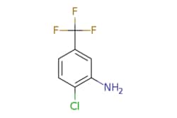 eMolecules​&nbsp;Ambeed / 2-Chloro-5-(trifluoromethyl)aniline / 25g / 552749085 / A643049 /  / 121-50-6 / MFCD00007673 / 195.570 / C7H5ClF3N