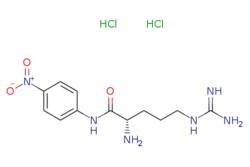 eMolecules​ Ambeed / (S)-2-Amino-5-guanidino-N-(4-nitrophenyl)pentanamide