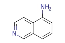 eMolecules​ Ambeed / Isoquinolin-5-amine / 5g / 551674323 / A100451 / /