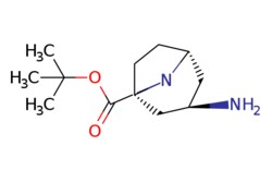 eMolecules​ Ambeed / tert-Butyl exo-3-amino-8-azabicyclo[3.2.1]octane-8-carboxylate
