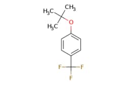 eMolecules​ Ambeed / 1-(tert-Butoxy)-4-(trifluoromethyl)benzene / 1g /