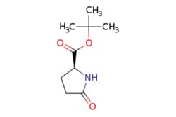eMolecules​ Ambeed / (S)-tert-Butyl 5-oxopyrrolidine-2-carboxylate / 10g