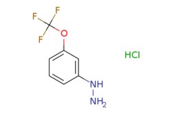 eMolecules​&nbsp;Ambeed / (3-(Trifluoromethoxy)phenyl)hydrazine hydrochloride / 1g / 525063378 / A151029 /  / 133115-55-6 / MFCD02671043 / 228.600 / C7H8ClF3N2O