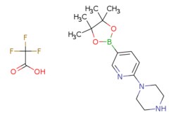 eMolecules​ Ambeed / 1-(5-(4455-Tetramethyl-132-dioxaborolan-2-yl)pyridin-2-yl)piperazine