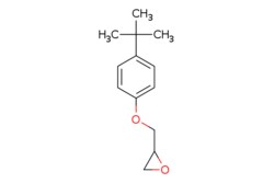 eMolecules​ Ambeed / 4-tert-Butylphenyl glycidyl ether / 1g / 600846587 / A728193 /  / 3101-60-8 / MFCD00005136 / 206.285 / C13H18O2