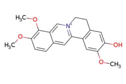eMolecules​ Ambeed / 3-Hydroxy-2910-trimethoxy-56-dihydroisoquinolino[32-a]isoquinolin-7-ium