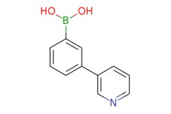 eMolecules​ Ambeed / (3-(Pyridin-3-yl)phenyl)boronic acid / 250mg / 552663428