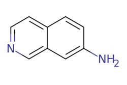 eMolecules​ Ambeed / Isoquinolin-7-amine / 100mg / 521416745 / A181329