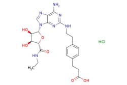 eMolecules​ Ambeed / 3-(4-(2-((6-Amino-9-((2R3R4S5S)-5-(ethylcarbamoyl)-34-dihydroxytetrahydrofuran-2-yl)-9H-purin-2-yl)amino)ethyl)phenyl)propanoic