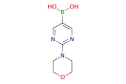 eMolecules​ Ambeed / 2-Morpholinopyrimidin-5-ylboronic acid / 250mg / 506390520