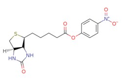eMolecules​ Ambeed / 4-Nitrophenyl 5-((3aS4S6aR)-2-oxohexahydro-1H-thieno[34-d]imidazol-4-yl)pentanoate / 100mg / 588341982 / A212345 /  / 33755-53-2 / MFCD15141972 / 365.400 / C16H19N3O5S
