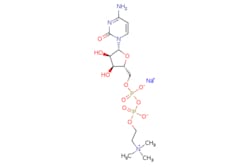 eMolecules​ Ambeed / 2-(((((((2R3S4R5R)-5-(4-Amino-2-oxopyrimidin-1(2H)-yl)-34-dihydroxytetrahydrofuran-2-yl)methoxy)(hydroxy)phosphoryl)oxy)oxidophosphoryl)oxy)-NNN-trimethylethan-1-aminium