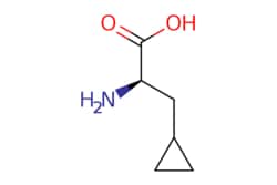 eMolecules​ 121786-39-8 | Ambeed | -Cyclopropyl-D-Ala-OH | 250mg | 525114349