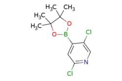 eMolecules​ Pharmablock / 25-dichloro-4-(4455-tetramethyl-132-dioxaborolan-2-yl)pyridine
