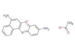 eMolecules​&nbsp;Ambeed / 59-Diaminobenzo[a]phenoxazin-7-ium acetate / 1g / 573008018 / A900422 /  / 10510-54-0 / [null] / 321.336 / C18H15N3O3