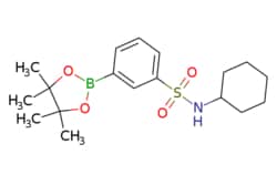 eMolecules​ 2828439-41-2 | Ambeed | N-Cyclohexyl-3-(4455-tetramethyl-132-dioxaborolan-2-yl)benzenesulfonamide