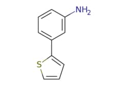 eMolecules​ Synthonix / 3-(2-Thienyl)benzenamine / 100mg / 784553652 /