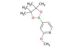 eMolecules​&nbsp;Pharmablock / 2-methoxy-4-(tetramethyl-132-dioxaborolan-2-yl)pyridine / 25mg / 773172934 / PBB1404214 / 0.000 / 408502-23-8 / MFCD07368867 / 235.090 / C12H18BNO3
