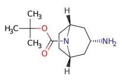 eMolecules​ 207405-68-3 | Ambeed | tert-Butyl endo-3-amino-8-azabicyclo[3.2.1]octane-8-carboxylate