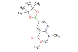 eMolecules​ 2304634-88-4 | Ambeed | Methyl 2-(dimethylamino)-5-(4455-tetramethyl-132-dioxaborolan-2-yl)nicotinate