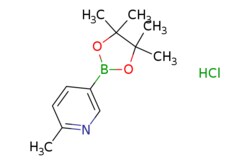 eMolecules​&nbsp;Ambeed / 2-Methyl-5-(4455-tetramethyl-132-dioxaborolan-2-yl)pyridine hydrochloride / 250mg / 752810340 / A1694759 /  /  / [null] / 255.550 / C12H19BClNO2