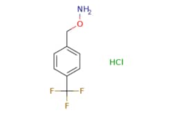 eMolecules​ 321574-29-2 | ChemScene | O-(4-(Trifluoromethyl)benzyl)hydroxylamine