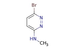 eMolecules​ ChemScene / 6-Bromo-N-methylpyridazin-3-amine / 250mg / 572176659