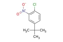 eMolecules​ 58574-05-3 | Ambeed | 4-(tert-Butyl)-1-chloro-2-nitrobenzene