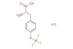 eMolecules​ 921609-34-9 | ChemScene | (S)-2-Amino-3-(4-(trifluoromethoxy)phenyl)propanoic