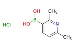eMolecules​&nbsp;Pharmablock / (26-dimethyl-3-pyridyl)boronic acidhydrochloride / 25mg / 731743675 / PBEB10753-1 / 0.000 /  / [null] / 187.430 / C7H11BClNO2