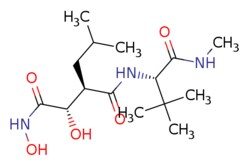 eMolecules​ 154039-60-8 | Ambeed | (2R3S)-N1-((S)-33-dimethyl-1-(methylamino)-1-oxobutan-2-yl)-N43-dihydroxy-2-isobutylsuccinamide