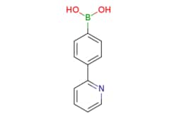 eMolecules​ 170230-27-0 | Ambeed | (4-(Pyridin-2-yl)phenyl)boronic acid