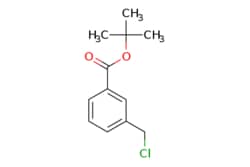 eMolecules​&nbsp;Ambeed / tert-Butyl-3-(chloromethyl)benzoate / 1g / 490565014 / A547883 /  / 220510-74-7 / MFCD02180879 / 226.700 / C12H15ClO2