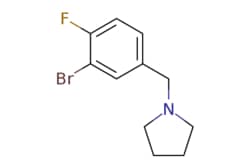 eMolecules​ 1250093-66-3 | Ambeed | 1-(3-Bromo-4-fluorobenzyl)pyrrolidine