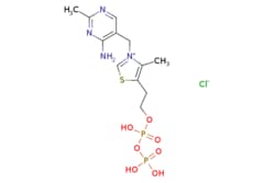 eMolecules​ 154-87-0 | Ambeed | 3-((4-Amino-2-methylpyrimidin-5-yl)methyl)-5-(2-((hydroxy(phosphonooxy)phosphoryl)oxy)ethyl)-4-methylthiazol-3-ium