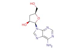 eMolecules​ 73-03-0 | ChemScene | Cordycepin | 100mg | 536853805 | CS-W009017