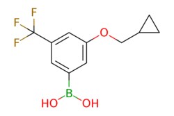eMolecules​ 2828439-81-0 | Ambeed | (3-(Cyclopropylmethoxy)-5-(trifluoromethyl)phenyl)boronic