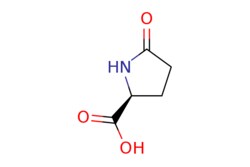 eMolecules​&nbsp;Ambeed / (S)-5-Oxopyrrolidine-2-carboxylic acid / 500g / 552639970 / A199648 /  / 98-79-3 / MFCD00005272 / 129.115 / C5H7NO3