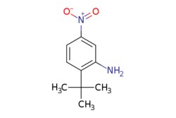 eMolecules​ Pharmablock / 2-tert-butyl-5-nitro-aniline / 25mg / 629469923
