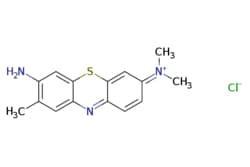 eMolecules​ 92-31-9 | Ambeed | 3-Amino-7-(dimethylamino)-2-methylphenothiazin-5-ium