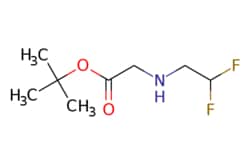 eMolecules​ 1488365-02-1 | Ambeed | tert-Butyl 2-((22-difluoroethyl)amino)acetate