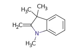 eMolecules​ Ambeed / 133-Trimethyl-2-methyleneindoline / 25g / 633658202