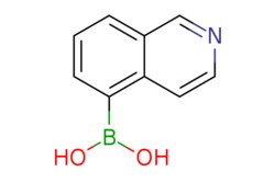 eMolecules​&nbsp;Ambeed / Isoquinolin-5-ylboronic acid / 250mg / 552634727 / A193681 /  / 371766-08-4 / MFCD03839356 / 172.980 / C9H8BNO2