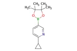 eMolecules​&nbsp;ChemScene / 2-Cyclopropyl-5-(4455-tetramethyl-132-dioxaborolan-2-yl)pyridine / 100mg / 572234182 / CS-W006999 / 0.000 / 893567-09-4 / MFCD09952039 / 245.130 / C14H20BNO2