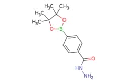 eMolecules​&nbsp;Ambeed / 4-(4455-Tetramethyl-132-dioxaborolan-2-yl)benzohydrazide / 250mg / 752810659 / A493738 /  / 276694-16-7 / MFCD07783860 / 262.120 / C13H19BN2O3