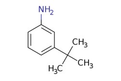 eMolecules​ 5369-19-7 | Ambeed | 3-(tert-Butyl)aniline | 5g | 525044167