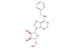 eMolecules​ 4294-16-0 | Ambeed | (2R3R4S5R)-2-(6-(Benzylamino)-9H-purin-9-yl)-5-(hydroxymethyl)tetrahydrofuran-34-diol