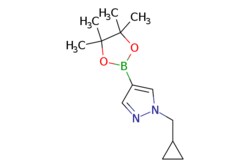 eMolecules​&nbsp;Ambeed / 1-(Cyclopropylmethyl)-4-(4455-tetramethyl-132-dioxaborolan-2-yl)-1H-pyrazole / 100mg / 525116754 / A200378 /  / 1000801-75-1 / MFCD15474887 / 248.130 / C13H21BN2O2