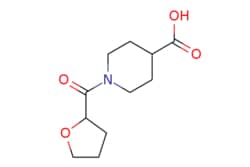 eMolecules​&nbsp;Ambeed / 1-(Tetrahydrofuran-2-carbonyl)piperidine-4-carboxylic acid / 250mg / 718339438 / A379566 /  / 926214-32-6 / MFCD09044137 / 227.260 / C11H17NO4